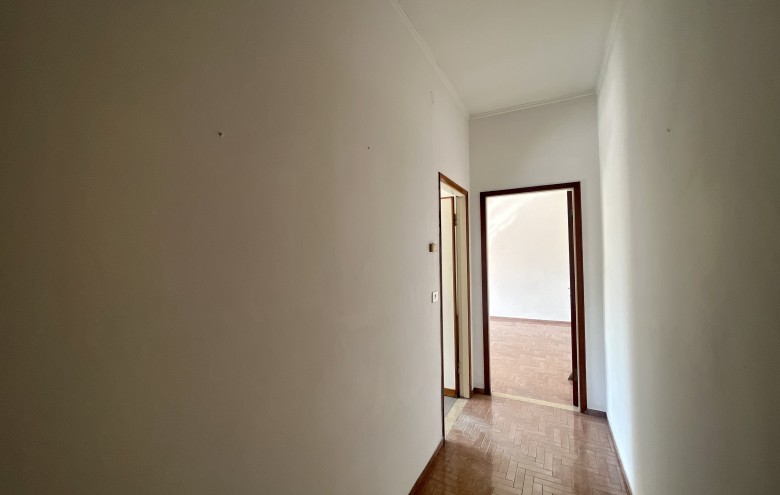 Agenzia Pegasus - 