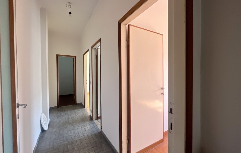 Agenzia Pegasus - 