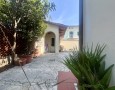 Pegasus - 