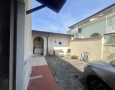 Pegasus - 