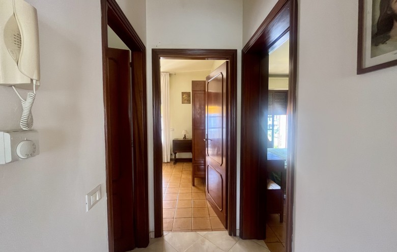 Agenzia Pegasus - 