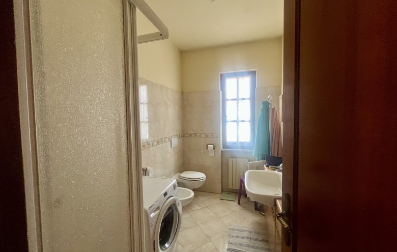 Agenzia Pegasus - 