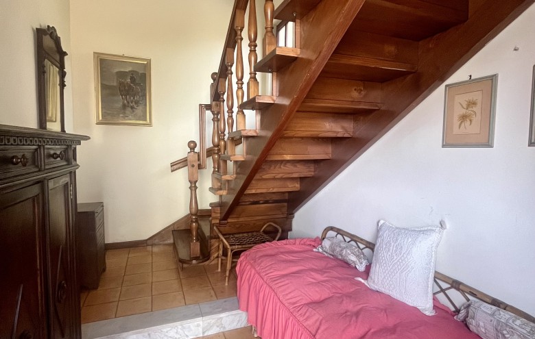 Agenzia Pegasus - 