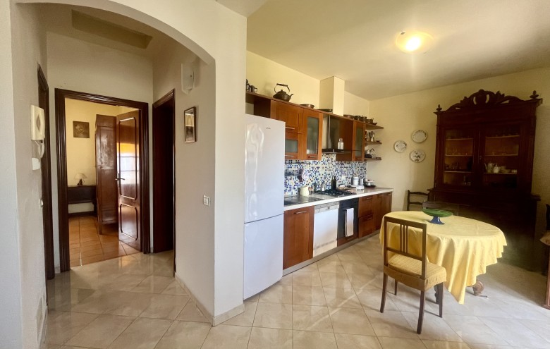 Agenzia Pegasus - 