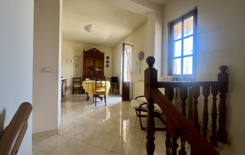 Agenzia Pegasus - 