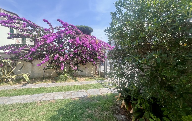 Agenzia Pegasus - 