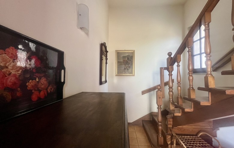 Agenzia Pegasus - 