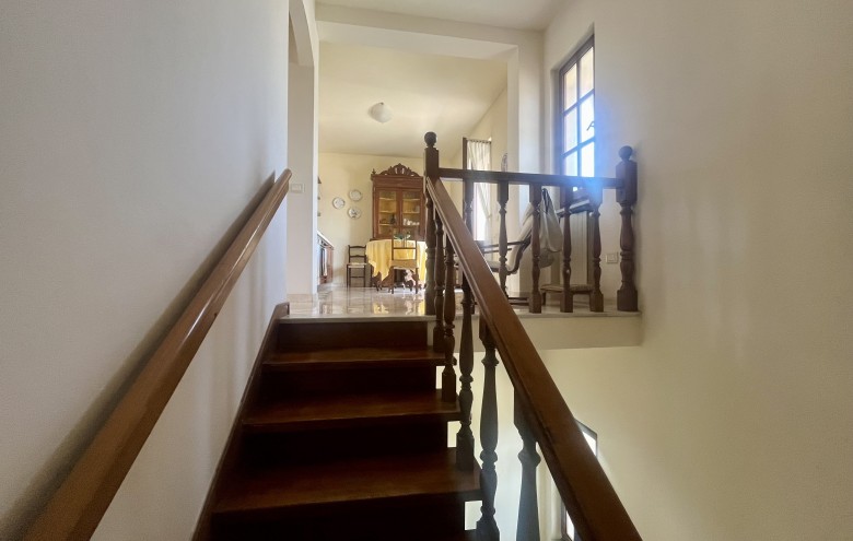 Agenzia Pegasus - 