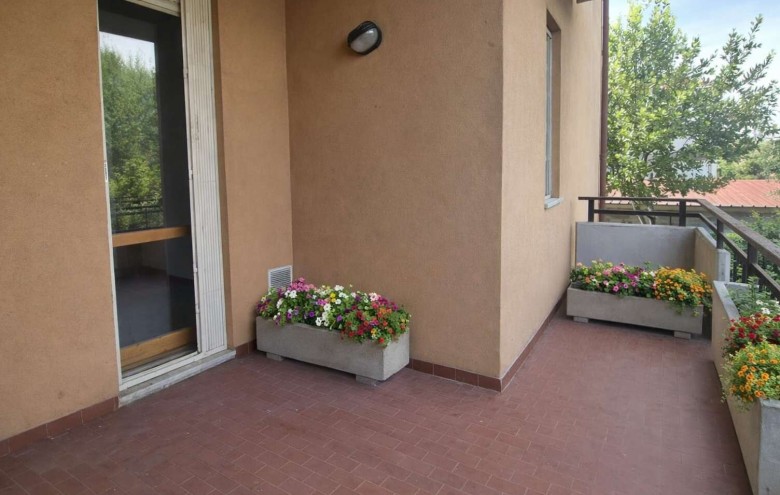 Agenzia Pegasus - 