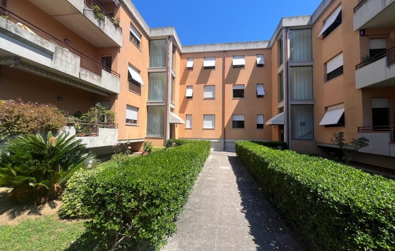 Agenzia Pegasus - 