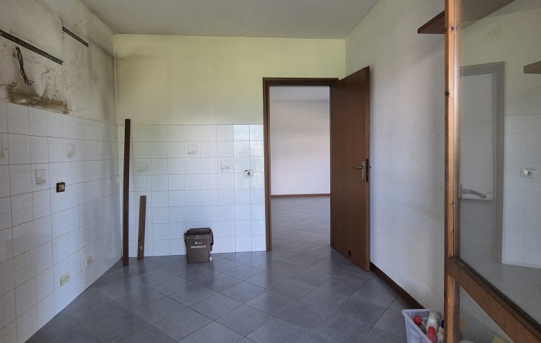 Agenzia Pegasus - 