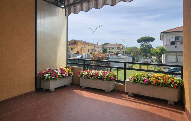 Agenzia Pegasus - 