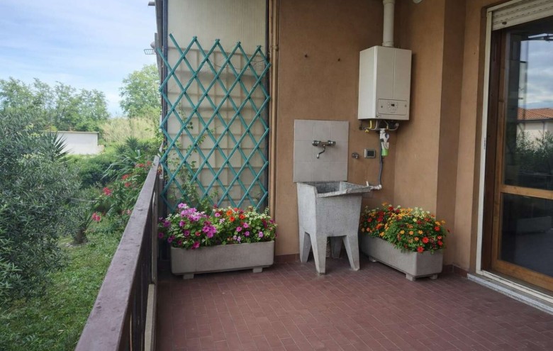Agenzia Pegasus - 