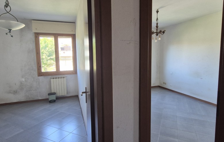 Agenzia Pegasus - 