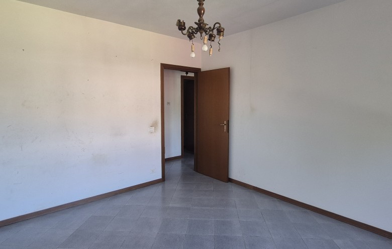 Agenzia Pegasus - 