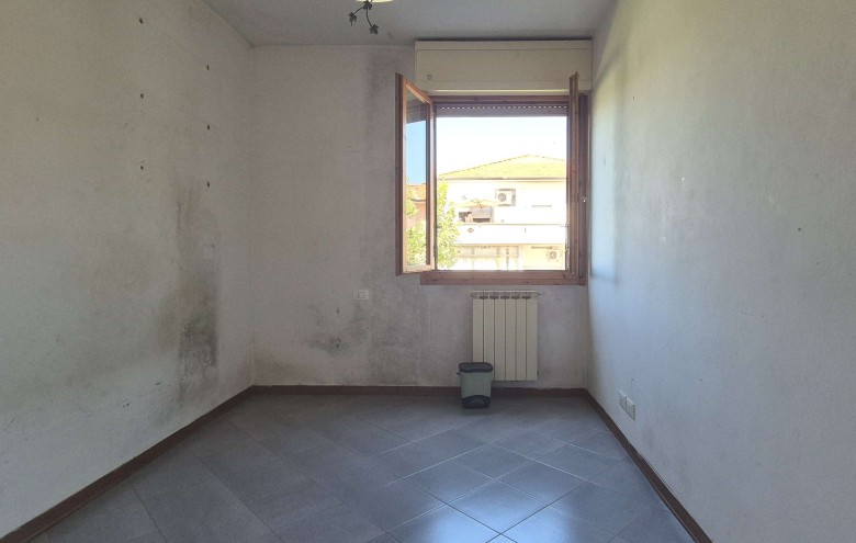 Agenzia Pegasus - 