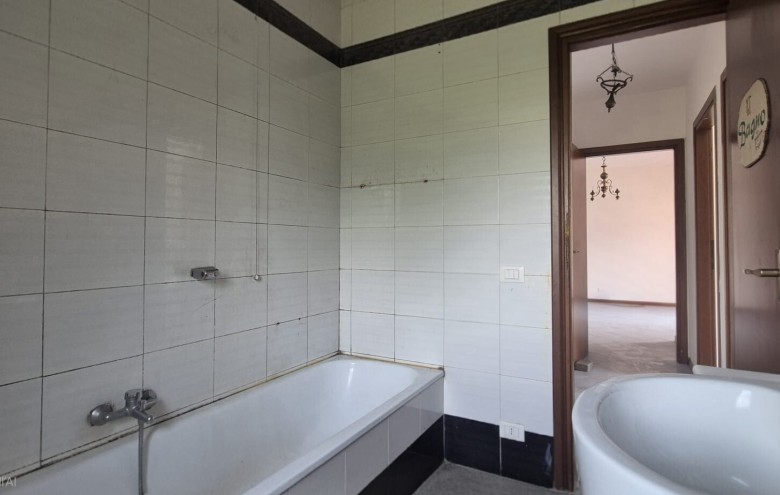 Agenzia Pegasus - 