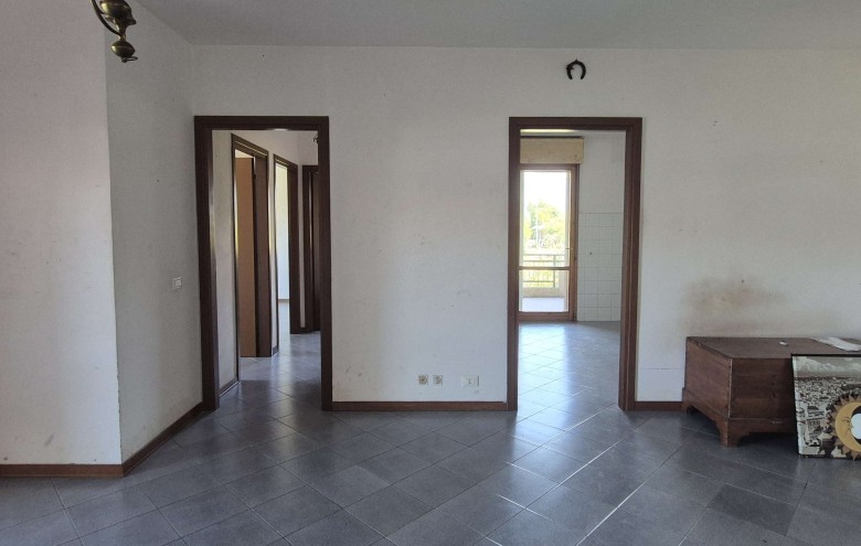 Agenzia Pegasus - 