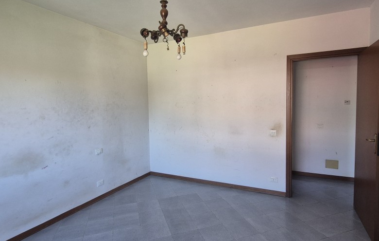 Agenzia Pegasus - 