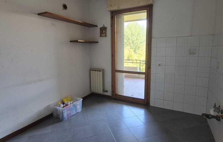 Agenzia Pegasus - 