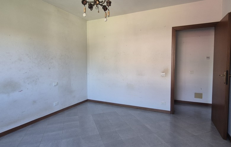 Agenzia Pegasus - 