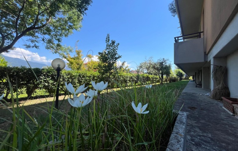 Agenzia Pegasus - 