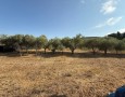 ConTeCasa - 