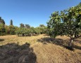 ConTeCasa - 