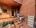 Pegasus - 