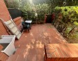 Pegasus - 
