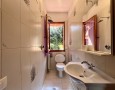 Pegasus - 