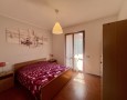 Pegasus - 