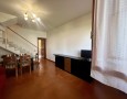 Pegasus - 