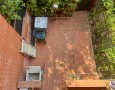 Pegasus - 