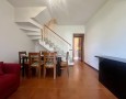 Pegasus - 
