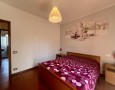 Pegasus - 