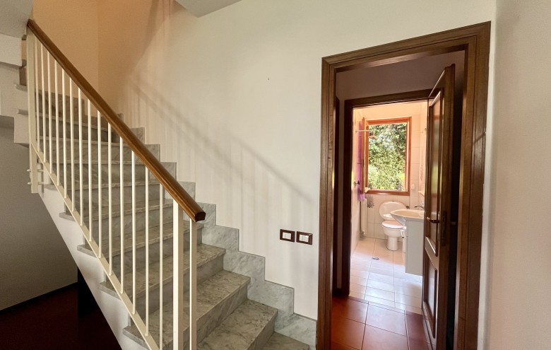 Agenzia Pegasus - 