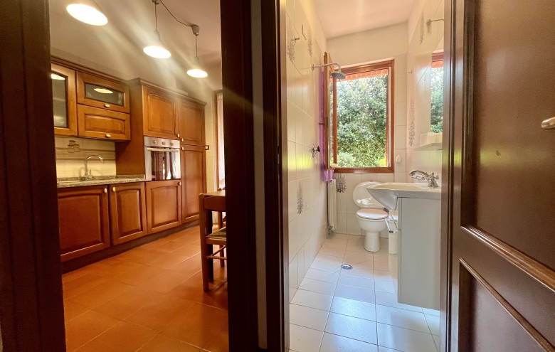 Agenzia Pegasus - 