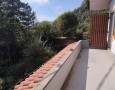 Pegasus - 