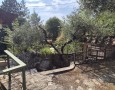 Pegasus - 