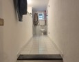 Pegasus - 