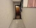 Pegasus - 