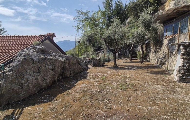 Agenzia Pegasus - 