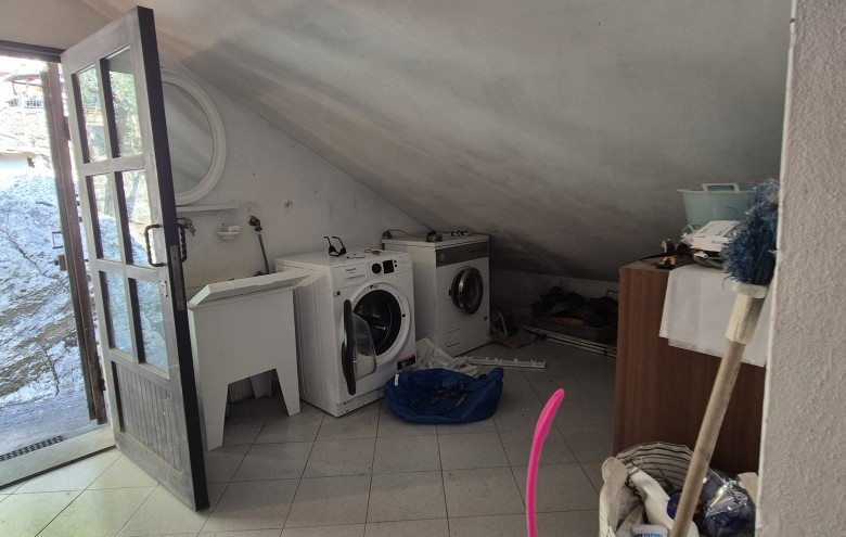 Agenzia Pegasus - 
