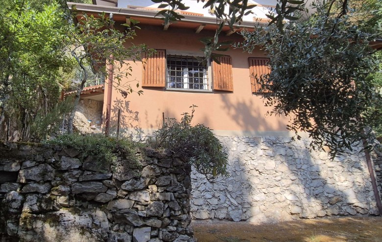 Agenzia Pegasus - 