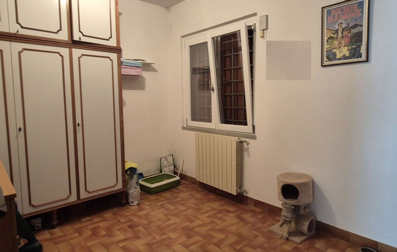 Agenzia Pegasus - 