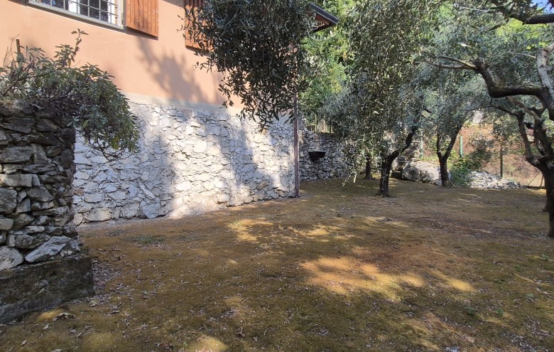 Agenzia Pegasus - 