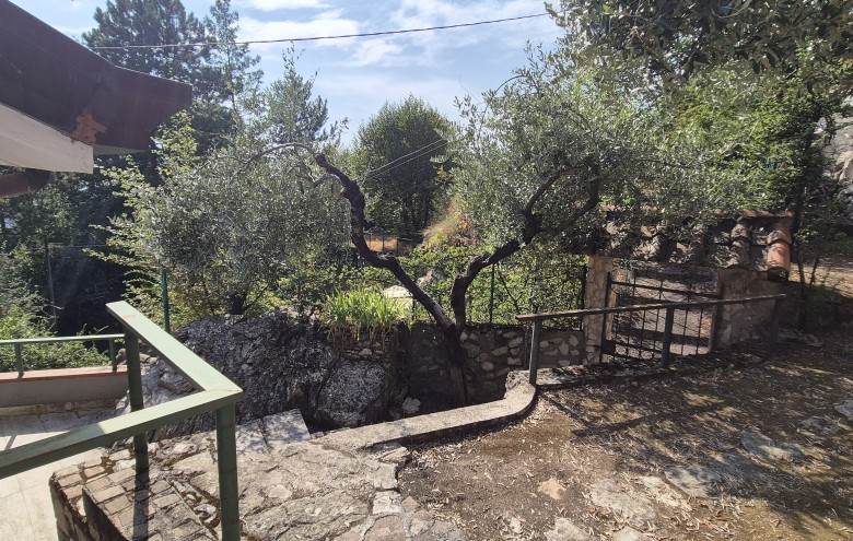 Agenzia Pegasus - 