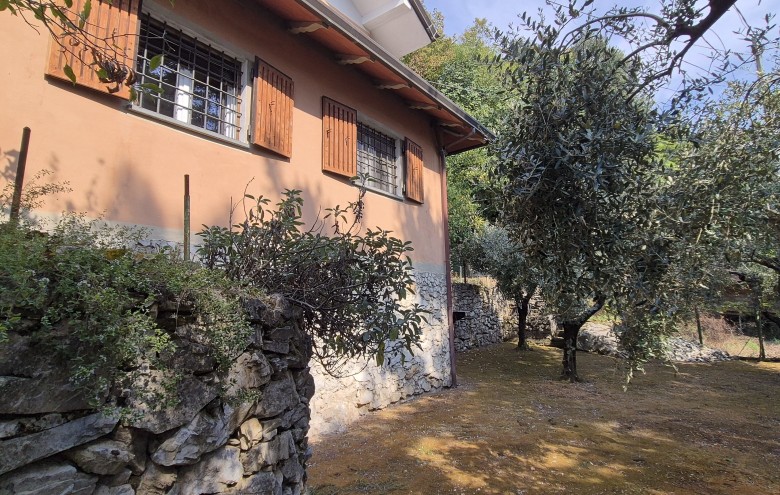 Agenzia Pegasus - 
