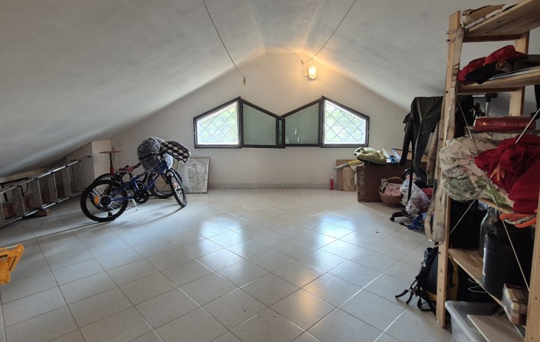 Agenzia Pegasus - 